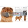 The Dog Encyclopedia  9781409364214
