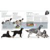 The Dog Encyclopedia  9781409364214
