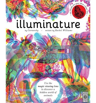 Illuminature Rachel Williams Wide Eyed Editions 9781847808868