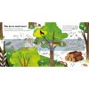 A Lift-the-Flap Eco Book: Trees Carmen Saldana Ladybird 9780241448366