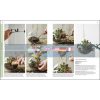 RHS Practical Cactus and Succulent Book Fran Bailey 9780241341148
