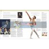 Ballet: The Definitive Illustrated Story Viviana Durante 9780241302316