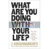 What Are You Doing With Your Life? J. Krishnamurti 9781846045851