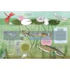 Pond Explorer Nature Sticker and Activity Book Alice Lickens National Trust 9781909881501