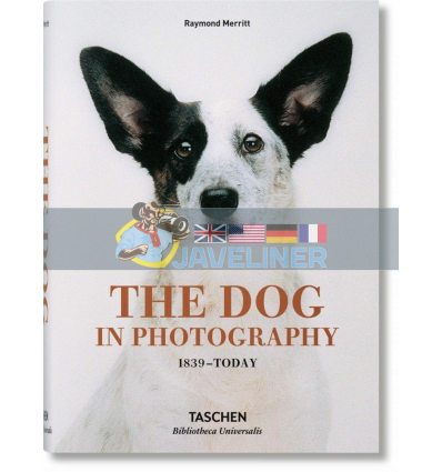 The Dog in Photography 1839–Today Raymond Merritt 9783836567473