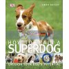 How to Train a Superdog Gwen Bailey 9781409349808