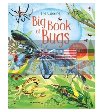 Big Book of Bugs Emily Bone Usborne 9781474928960