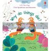 Lift-the-Flap First Questions and Answers: Why Do Things Die? Christine Pym Usborne 9781474979887