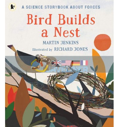 Bird Builds a Nest Martin Jenkins Walker Books 9781406382709