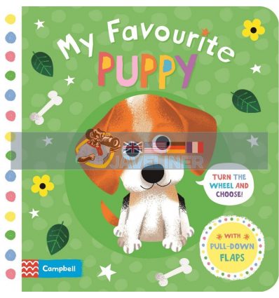 My Favourite Puppy Daniel Roode Campbell Books 9781509898060