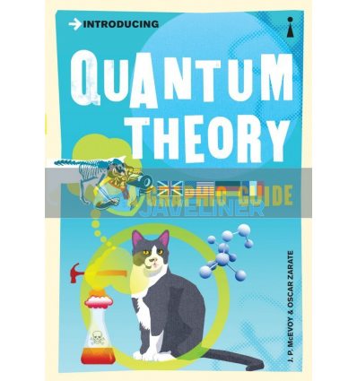 Introducing Quantum Theory (A Graphic Guide) J. P. McEvoy 9781840468502