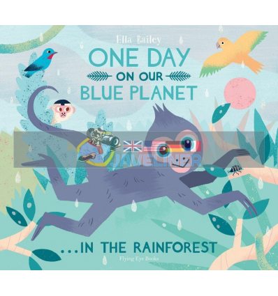 One Day on Our Blue Planet: In the Rainforest Ella Bailey Flying Eye Books 9781911171089