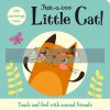 Peek-a-boo Little Cat Susie Linn Imagine That 9781787008717