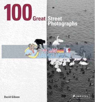 100 Great Street Photographs David Gibson 9783791384382