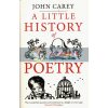 A Little History of Poetry John Carey 9780300232226