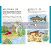 National Trust: Go Wild on the River Goldie Hawk Nosy Crow 9781788000703