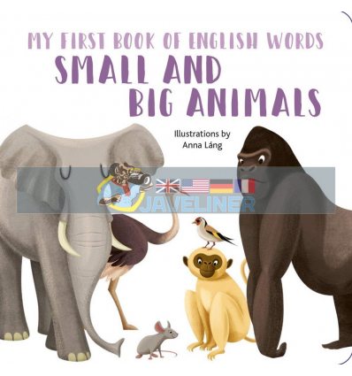 My First Book of English Words: Small and Big Animals Anna Lang White Star 9788854413566