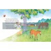 Stories of Horses and Ponies for Little Children Rosie Dickins Usborne 9781474938068
