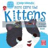 Clap Hands: Here Come the Kittens Hilli Kushnir Pat-a-cake 9781526380074