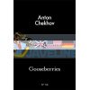 Gooseberries Anton Chekhov 9780141397092