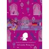 A Little Princess Frances Hodgson Burnett Puffin Classics 9780141341712