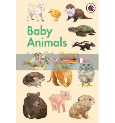 Baby Animals: A Ladybird Book Stephanie Fizer Coleman Ladybird 9780241416907