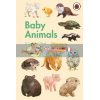 Baby Animals: A Ladybird Book Stephanie Fizer Coleman Ladybird 9780241416907