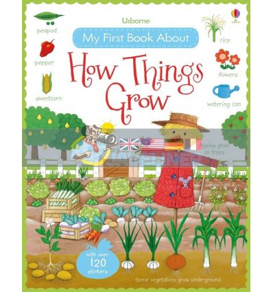 My First Book about How Things Grow Felicity Brooks Usborne 9781409593584