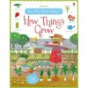 My First Book about How Things Grow Felicity Brooks Usborne 9781409593584