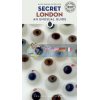 Secret London: An Unusual Guide Bill Nash 9782361953645