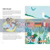 Sea Creatures: A Ladybird Book Amber Davenport Ladybird 9780241417072