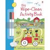 Big Wipe-Clean Activity Book Sam Taplin Usborne 9781409551577
