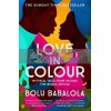 Love in Colour Bolu Babalola 9781472268884