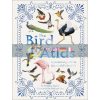 The Bird Atlas Barbara Taylor Dorling Kindersley 9780241412794
