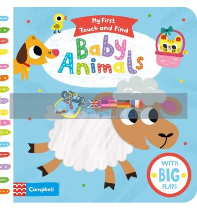 My First Touch and Find: Baby Animals Tiago Americo Campbell Books 9781529016642