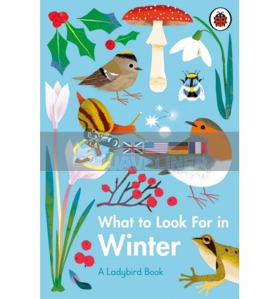 What to Look for in Winter: A Ladybird Book Elizabeth Jenner Ladybird 9780241416228