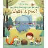Lift-the-Flap Very First Questions and Answers: What is Poo? Katie Daynes Usborne 9781474917902