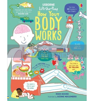 Lift-the-Flap How Your Body Works Ocean Mecklenburg Usborne 9781474950732