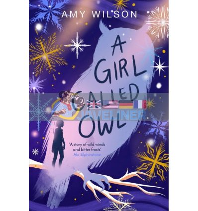 A Girl Called Owl Amy Wilson Macmillan 9781529057751
