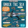 Little Explorers: Under the Sea Allan Sanders Templar 9781783708642