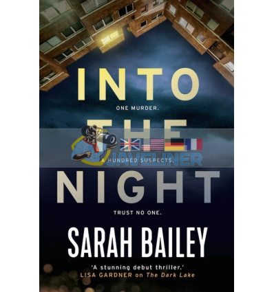 Into the Night Sarah Bailey 9781786494917