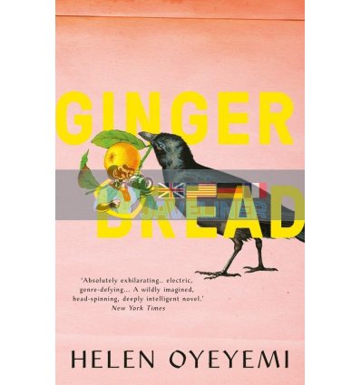 Gingerbread Helen Oyeyemi 9781447299424