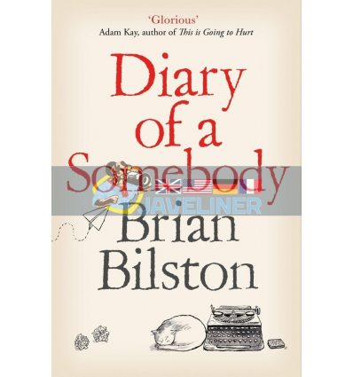 Diary of a Somebody Brian Bilston 9781529005561