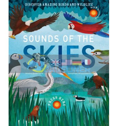 Sounds of the Skies Jonathan Woodward Little Tiger Press 9781912756957