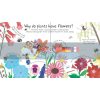 Lift-the-Flap First Questions and Answers: How Do Flowers Grow? Christine Pym Usborne 9781409582137