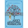 Alice's Adventures in Wonderland Lewis Carroll Macmillan 9781447279990