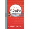 500 Beautiful Words You Should Know Caroline Taggart 9781789292275