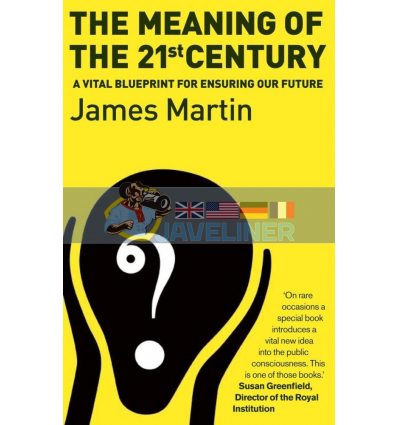 The Meaning of The 21st Century James Martin 9781903919866